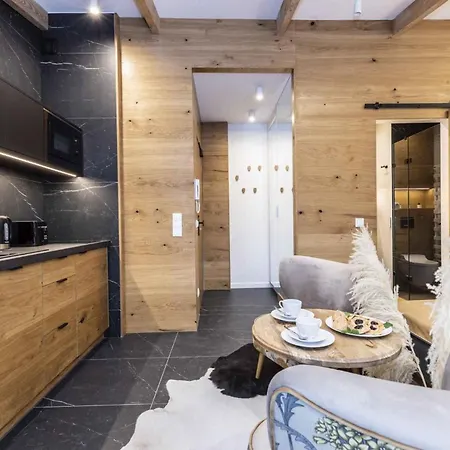 Famixdom Apartamenty Modrzejewska Centrum Закопане Екстер'єр фото